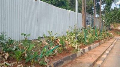 Maladministrasi Diduga Terjadi dalam Pembongkaran Taman Kembang Kerep Meruya