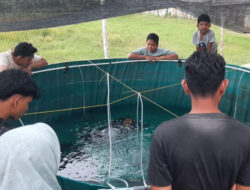 Pengabdian Dosen Unimal dalam Teknik Pemijahan Ikan Lele menggunakan Hormon