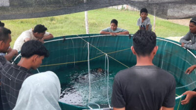 Pengabdian Dosen Unimal dalam Teknik Pemijahan Ikan Lele menggunakan Hormon