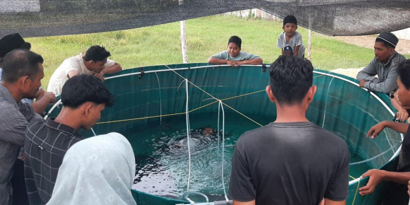 Pengabdian Dosen Unimal dalam Teknik Pemijahan Ikan Lele menggunakan Hormon