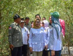 Pengembangan Produk Mangrove Sebagai Solusi Meningkatkan Ekonomi dan Gizi Masyarakat