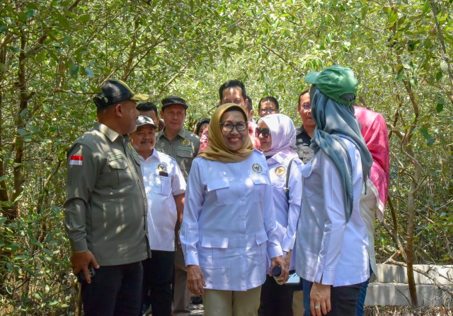 Pengembangan Produk Mangrove Sebagai Solusi Meningkatkan Ekonomi dan Gizi Masyarakat