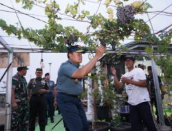 Panglima TNI Melakukan Inspeksi Terhadap Kelancaran Gerakan Nasional Ketahanan Pangan Melalui Kunjungan Lapangan