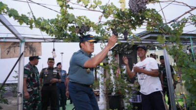 Panglima TNI Melakukan Inspeksi Terhadap Kelancaran Gerakan Nasional Ketahanan Pangan Melalui Kunjungan Lapangan