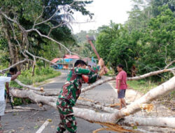 Babinsa dan Warga Bahu-membahu Bersihkan Pohon Tumbang yang Menutupi Jalan Raya