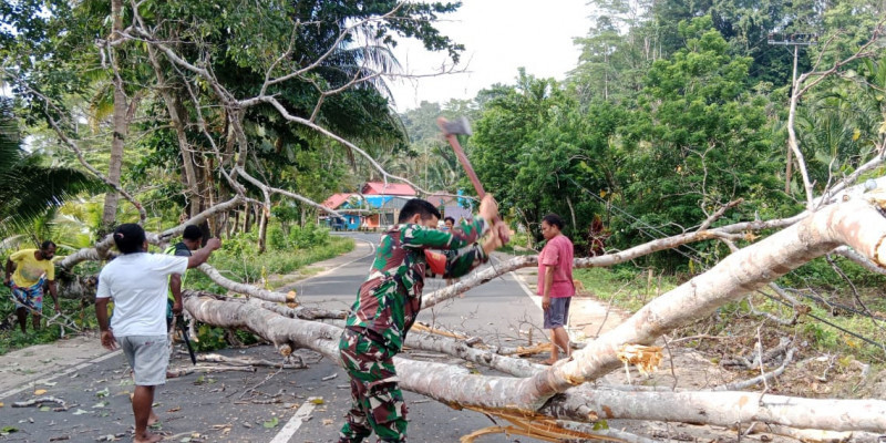 Babinsa dan Warga Bahu-membahu Bersihkan Pohon Tumbang yang Menutupi Jalan Raya