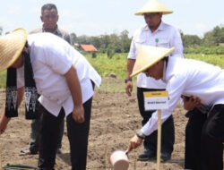 Menteri Pertanian Mengungkap Langkah Konkrit Meningkatkan Produksi Gula Nasional Menuju Swasembada