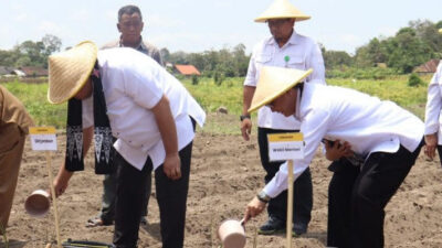 Menteri Pertanian Mengungkap Langkah Konkrit Meningkatkan Produksi Gula Nasional Menuju Swasembada