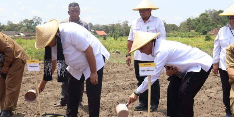 Menteri Pertanian Mengungkap Langkah Konkrit Meningkatkan Produksi Gula Nasional Menuju Swasembada