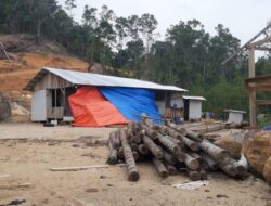 Pembangunan Resort di Pulau Cubadak Mandeh Perlu Dihentikan