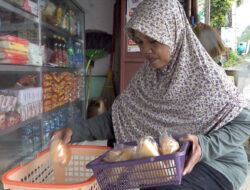 Usaha Roti, Marinem yang Bangkit, Siap Digraduasi