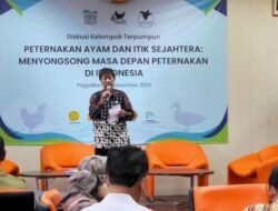 Dorongan Inisiasi Diskusi Animal Friends Jogja Untuk Meningkatkan Kesejahteraan Peternak Ayam dan Itik Petelur