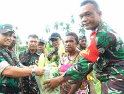 Panen Jagung dalam Rangka Program Ketahanan Pangan oleh Dandim 1708/BN di Koramil 1708-03/BB