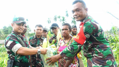 Panen Jagung dalam Rangka Program Ketahanan Pangan oleh Dandim 1708/BN di Koramil 1708-03/BB