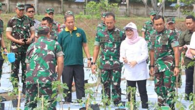 Danrem 052/Wijayakrama Mendukung Pangdam Jaya dalam Program Urban Farming