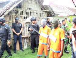 Dua Pencuri Sapi Limosin di Lumajang Mengikuti Proses Rekonstruksi, Fakta Terbaru Terbongkar