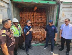 Ditjen Gakkum KLHK Mengungkap Peredaran 55 Kontainer Kayu Ilegal Asal Kalimantan