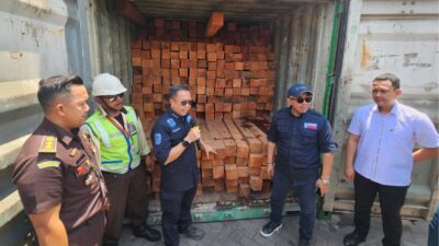 Ditjen Gakkum KLHK Mengungkap Peredaran 55 Kontainer Kayu Ilegal Asal Kalimantan