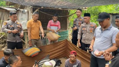 Empat Pelaku Judi Sabung Ayam di Situbondo Ditangkap Setelah Diamankan Dari Arena Judi