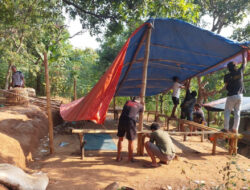 Polres Nganjuk Gerebek dan Bongkar Tempat Judi Sabung Ayam di 3 Lokasi