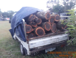 Detik-Detik Polhut Adang Pelaku Pembalakan Liar Saat Kabur dari Hutan di Madiun