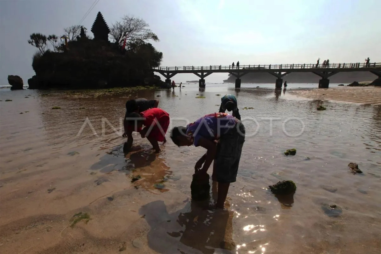 Pengunjung Keluhkan Pungli di Wisata Pantai Balekambang Malang, Polisi Turun Tangan