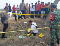 Geger Pembuangan Mayat Bayi di Persawahan Bojonegoro, Pelaku Pasangan Muda