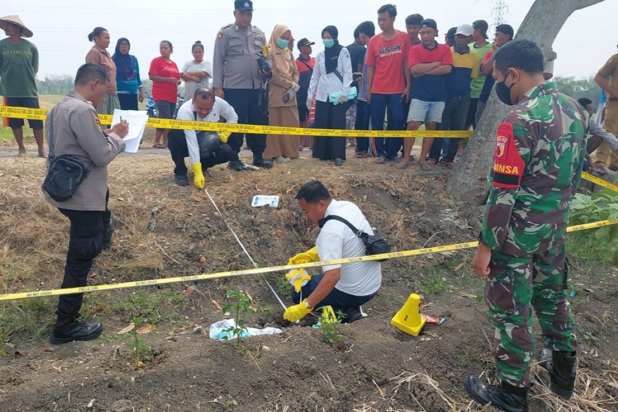 Geger Pembuangan Mayat Bayi di Persawahan Bojonegoro, Pelaku Pasangan Muda