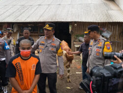 Polisi di Lumajang Tembak Pencuri Sapi Limosin Saat Kabur ke Kebun Tebu