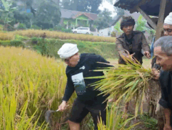 Andy Utama: Beras Harus Jadi Simbol Kemandirian Bangsa