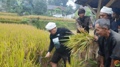 Andy Utama: Beras Harus Jadi Simbol Kemandirian Bangsa