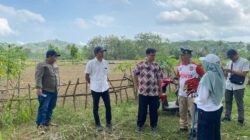 Novita Wijayanti: Perjuangan Pembangunan Embung Rp10 Miliar di Desa Wangon